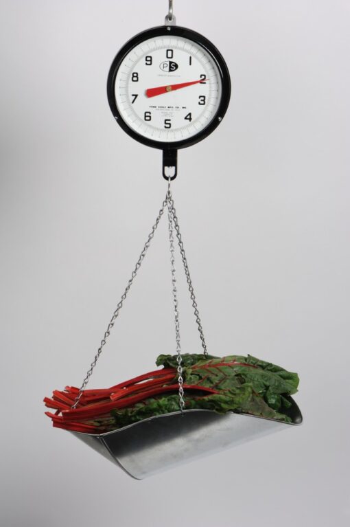 Dual Dial Hanging Scale