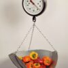 Hanging Fruit & Vegetable Scale - 820-HG Single Dial